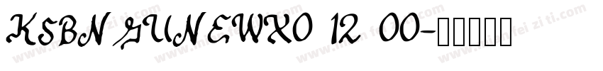 KSBNGUNEWX0 12 00字体转换